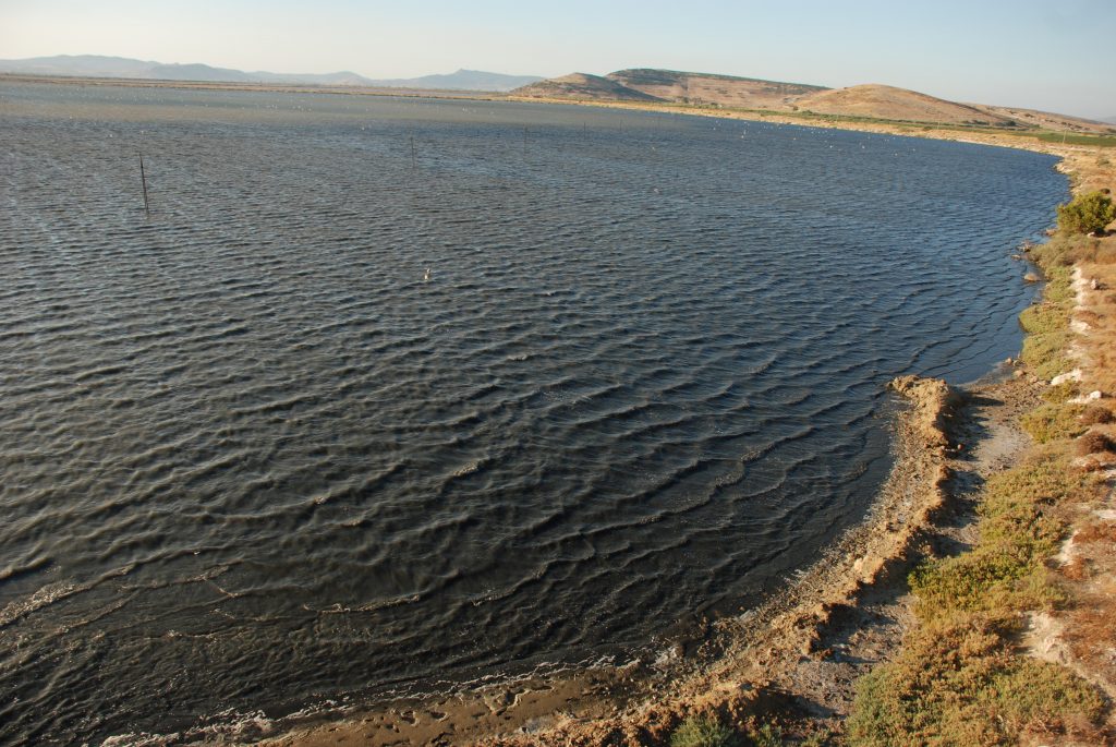 Gözlem Kulesinden Manzara